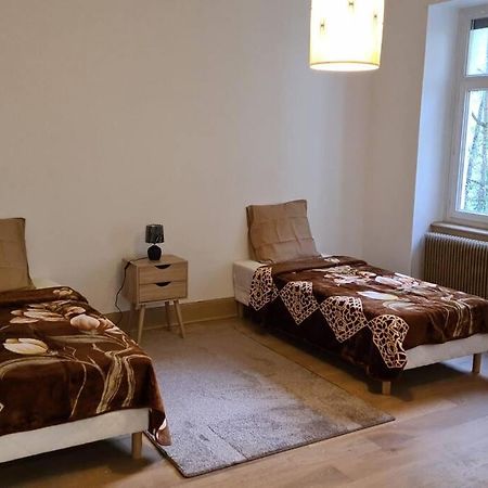 Grand 4P Strasbourg Orangerie 7 Personnes Proche D Allemagne Exterior photo