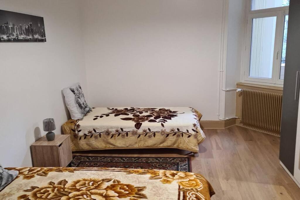 Grand 4P Strasbourg Orangerie 7 Personnes Proche D Allemagne Exterior photo