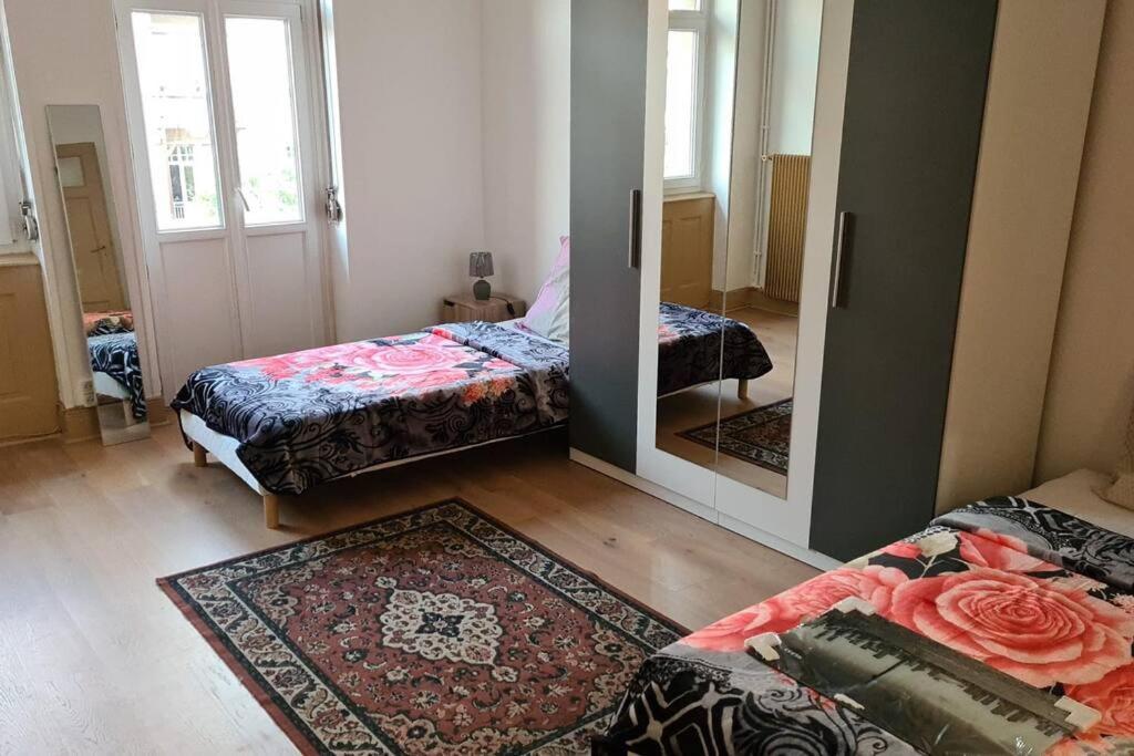 Grand 4P Strasbourg Orangerie 7 Personnes Proche D Allemagne Exterior photo