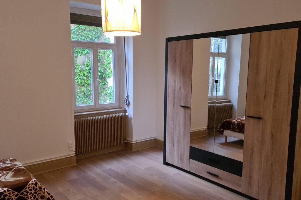 Grand 4P Strasbourg Orangerie 7 Personnes Proche D Allemagne Exterior photo